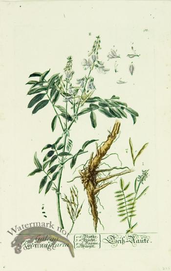 Blackwell German 096